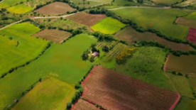 토지거래 허가제란 토지거래 허가제 해제