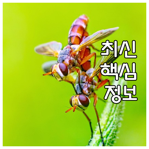 숨겨진 혜택 2025 충주시 하수도요..