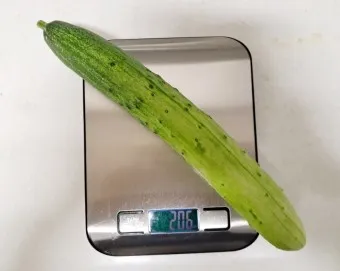 nv_오이 칼로리_16