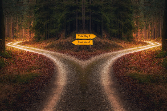 프리랜서 vs 리모트 vs 인플루언서 당신에게 맞는 노마드 스타일은?