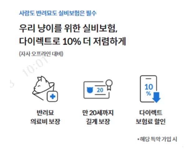 삼성화재-다이렉트-착-펫보험(반려묘)-고양이-펫-실비-보험-보장혜택-요약