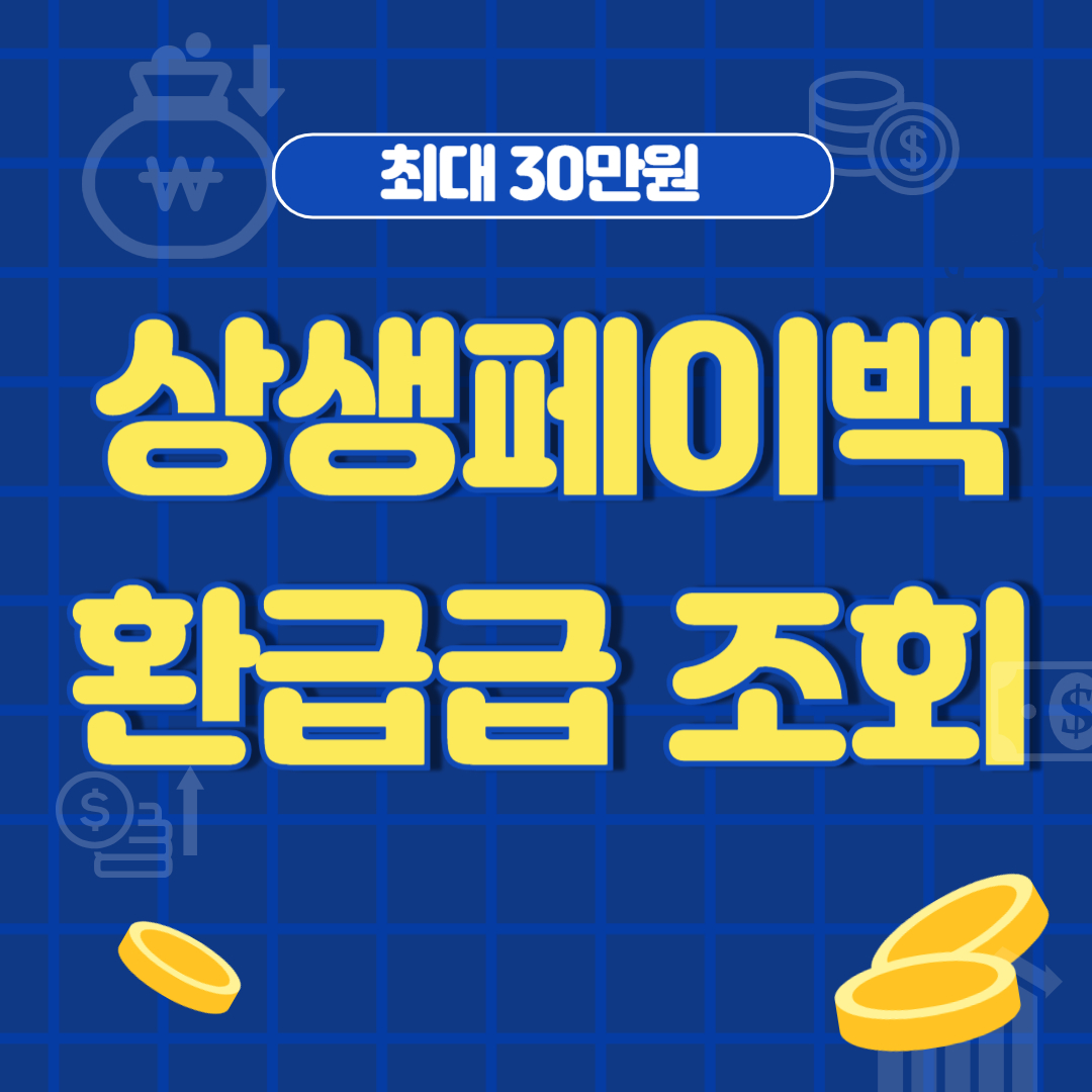 상생페이백