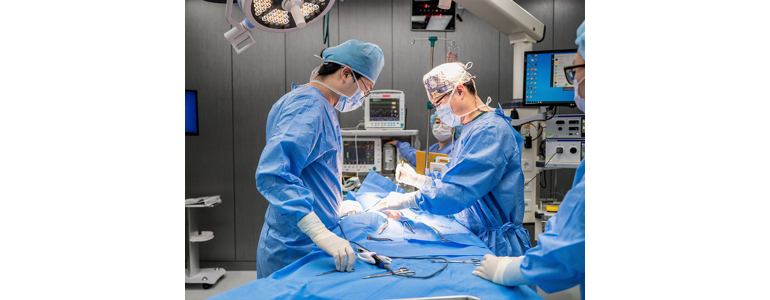 청주 서원구 동물병원