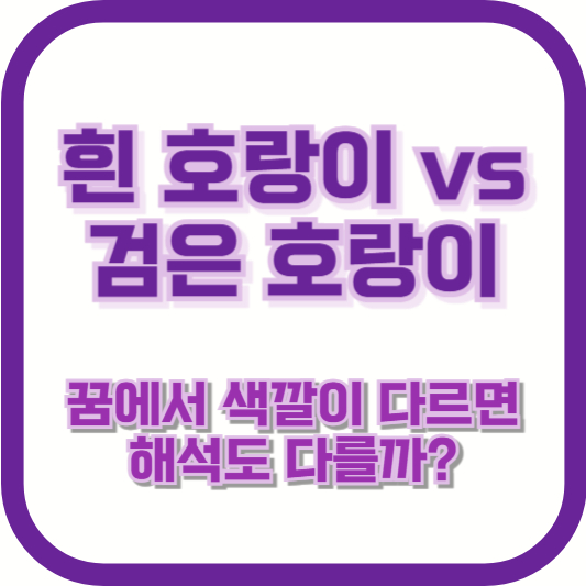 흰 호랑이 vs 검은 호랑이, 꿈에서 색깔이 다르면 해석도 다를까?