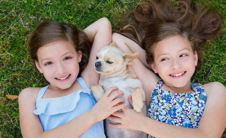 다문화가족 방문교육 전화번호 홈페이지