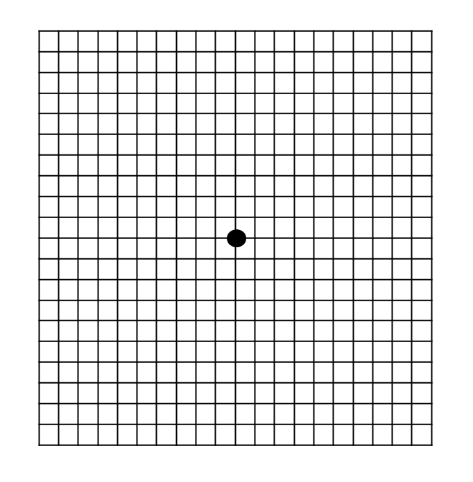 암슬러 격자