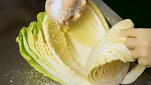 🥬 김장김치 온도 숙성 부터 오래 아삭하게 보관법