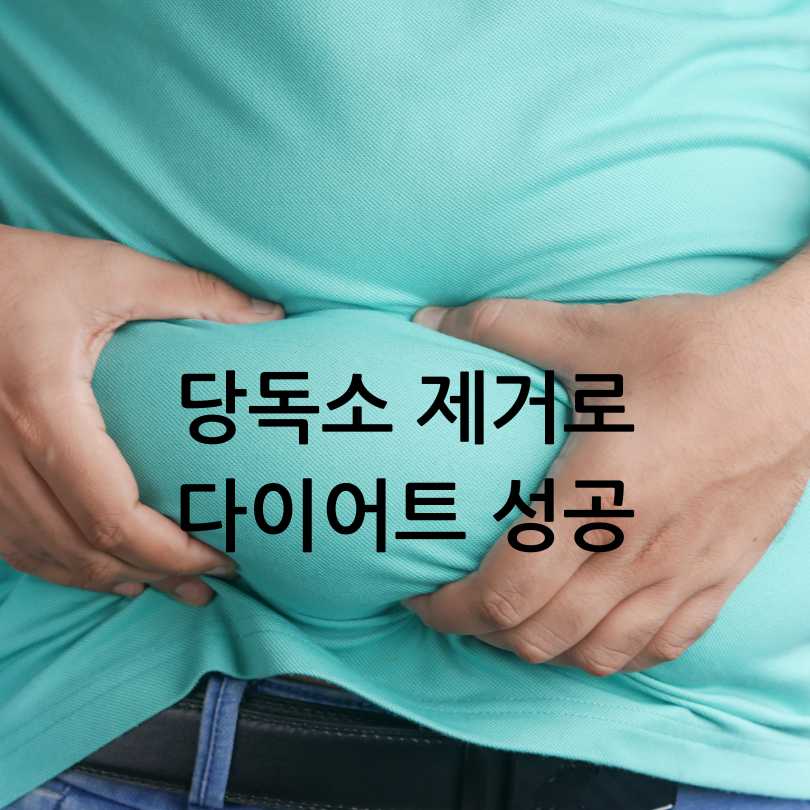 당독소다이어트