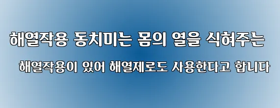 해열작용 동치미는 몸의 열을 식혀주는 해열작용이 있어 해열제로도 사용한다고 합니다