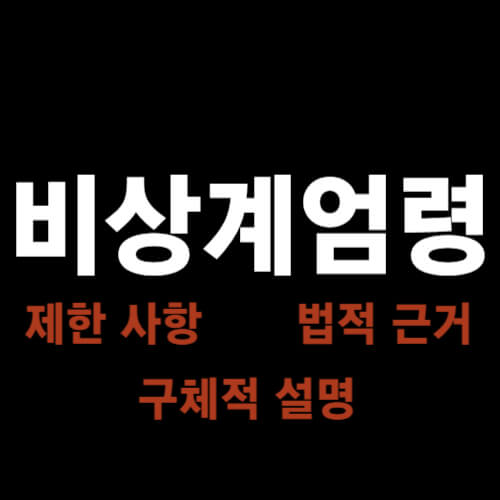 비상계엄령-예시-이미지