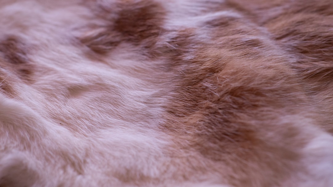 Padding coat