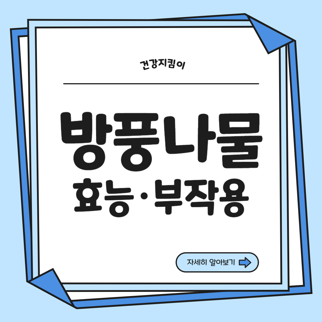 방풍나물 효능 부작용 요리 고르는법 칼로리