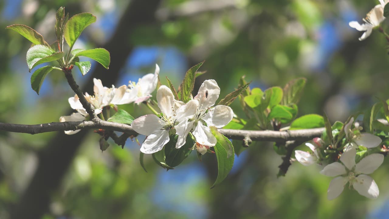 -(으)ㄹ 뿐만 아니라, “-(eu)l ppunman anira”(not only … but also …)