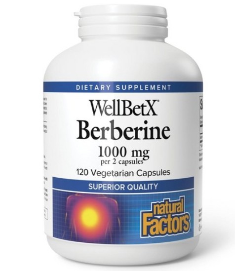 베르베린-효능-부작용-2