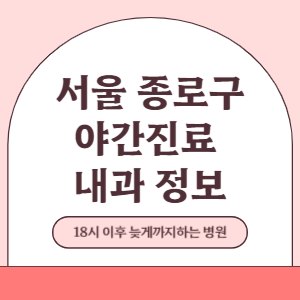 서울 종로구 야간진료 내과 병원 (18시 이후 늦게까지하는 병원)