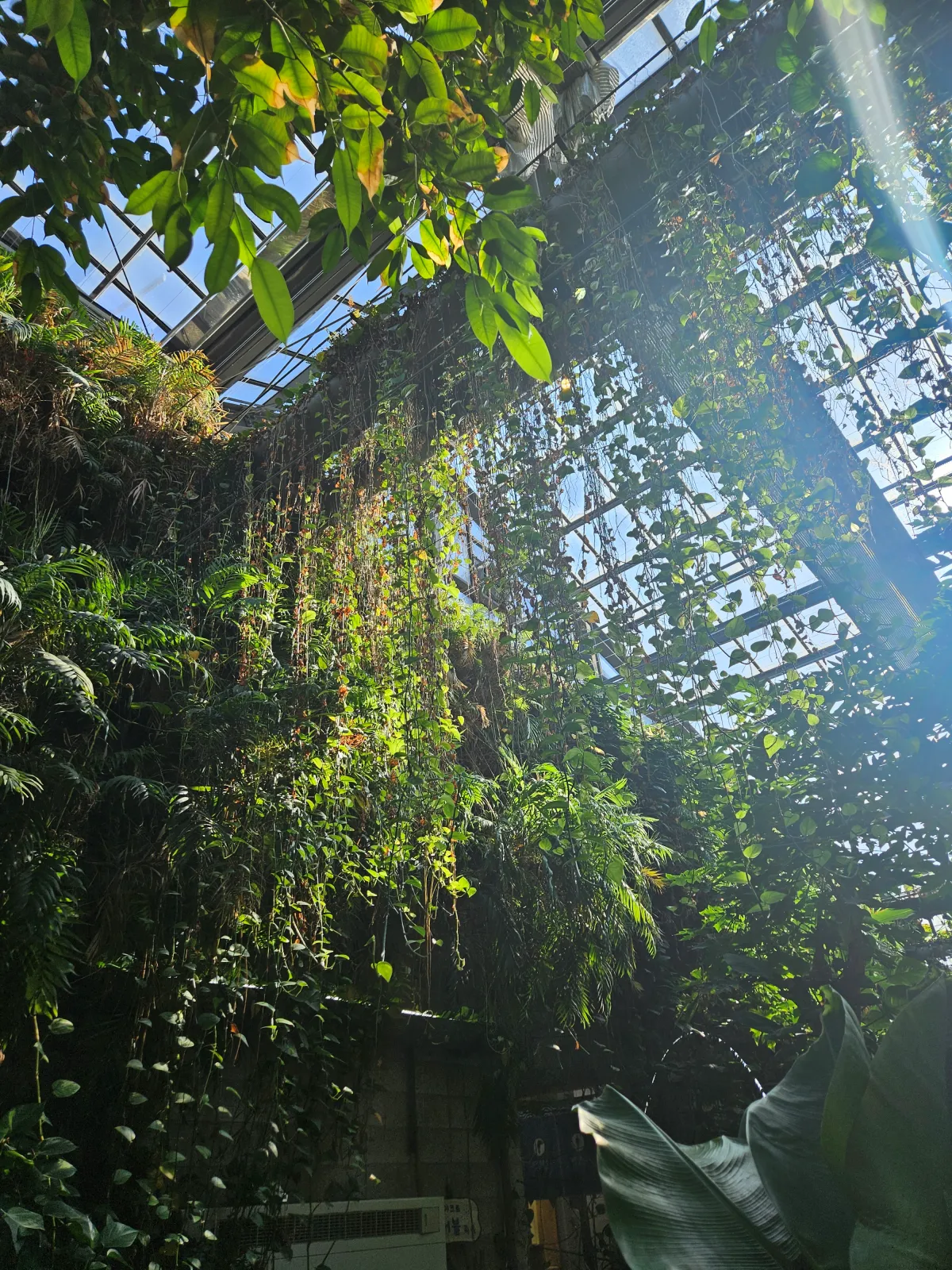 햇빛에-비치는-식생의-모습