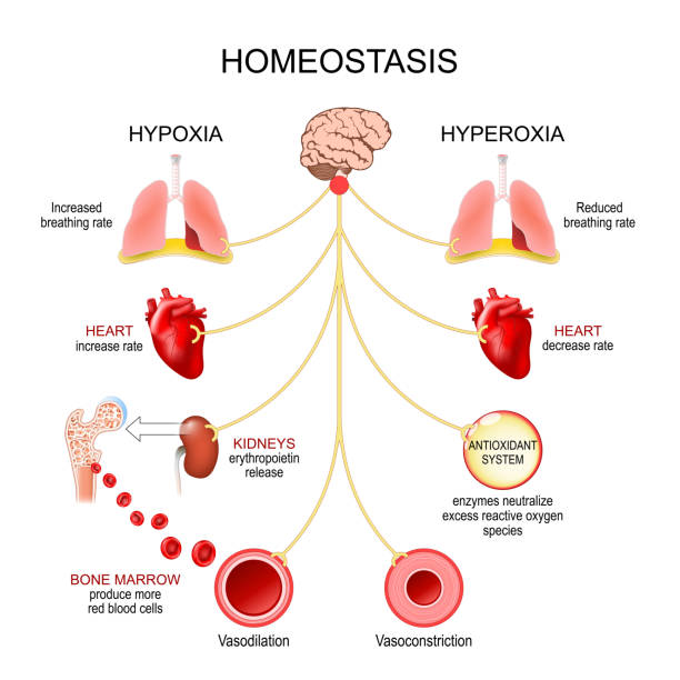 과탄산혈증(hypercapnia) 증상