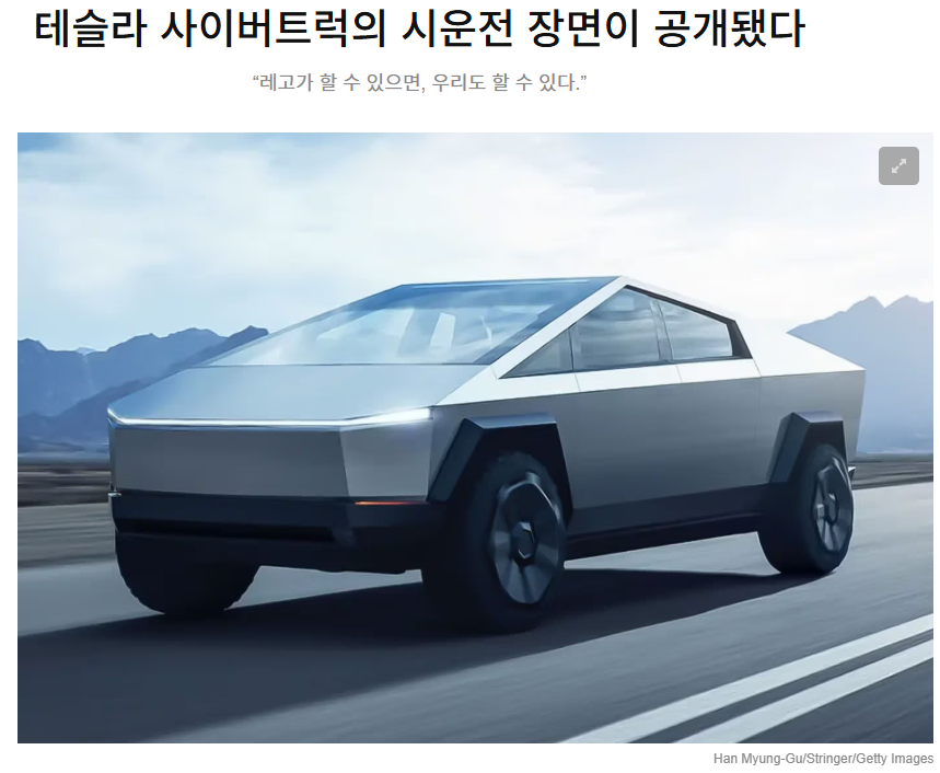 테슬라 배당금