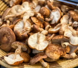 비타민D 많은 음식