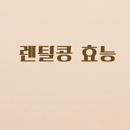 렌틸콩효능썸네일