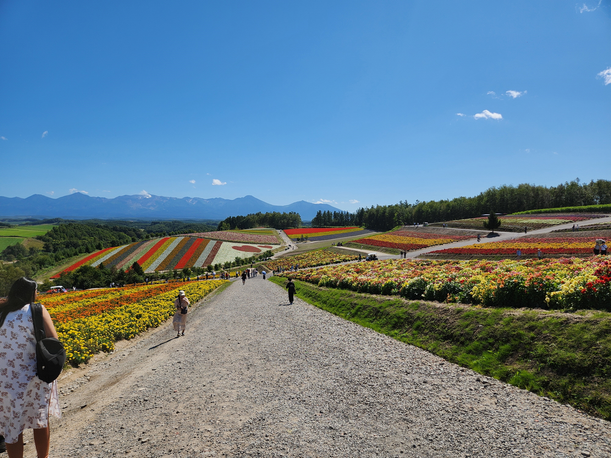 사계체 언덕 - 17