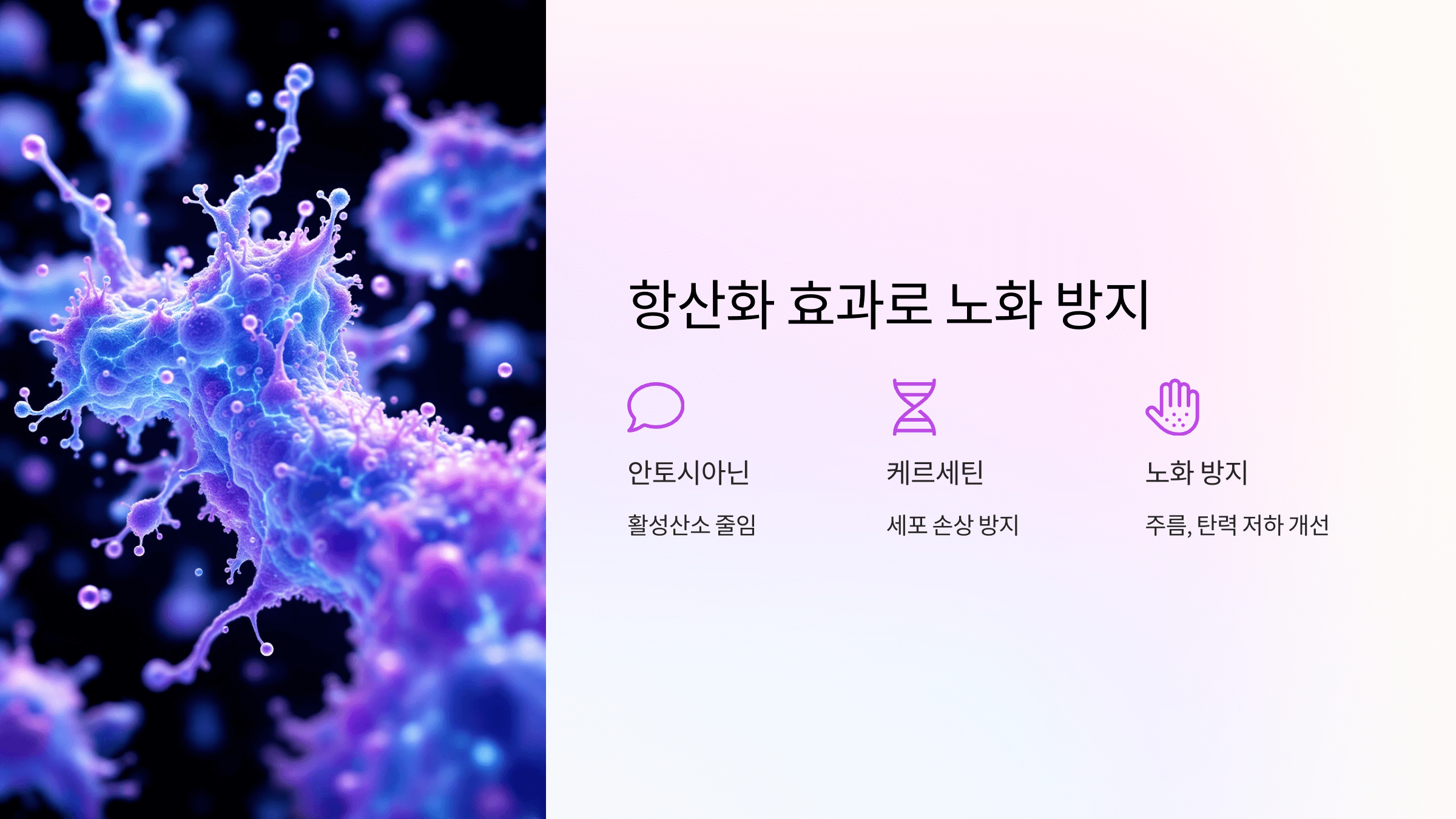 타트체리 사진입니다.