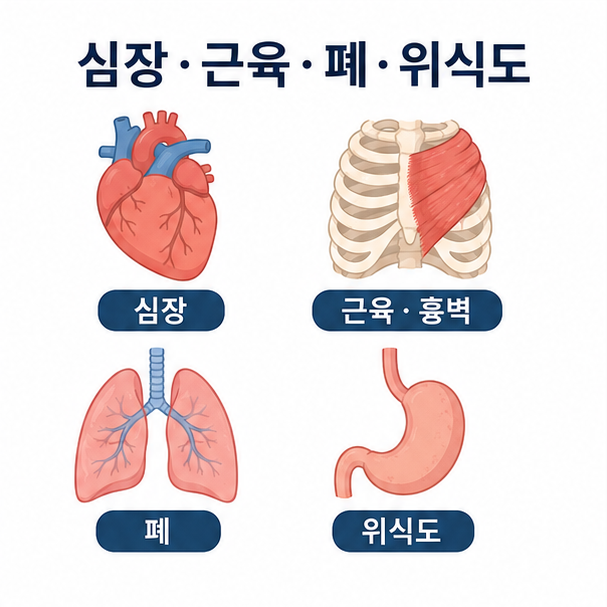 심장&middot;근육&middot;폐&middot;위식도 아이콘으로 왼쪽 가슴 통증의 다양한 원인을 설명한 이미지