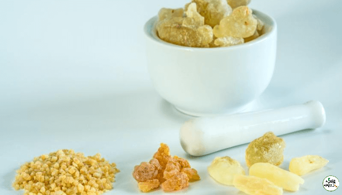 사기 절구그릇에 보스웰리아 원물이 담겨져 있다