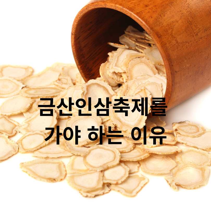 금산인삼축제 2025 
