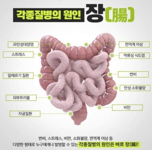 각종질병의 원인인 장