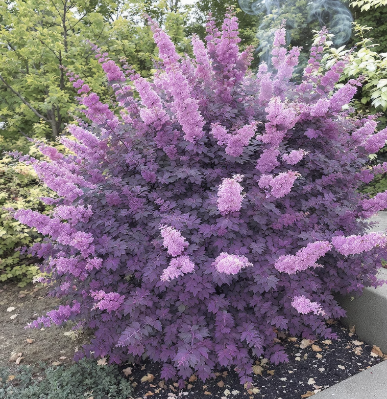 잎과 꽃, 두 마리 토끼를 잡다