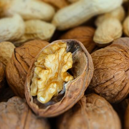 호두 땅콩 견과류