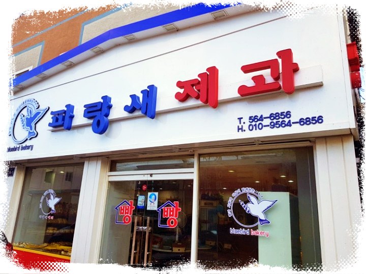 토요일은-밥이좋아-제3회-빵지순례-30년-전통-빵집-전북-고창-맛집-위치-어디