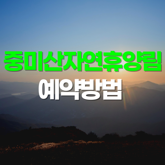 🌲 도심 속 힐링 여행지, 중미산자연휴양림 완벽 가이드