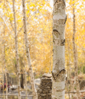 화담숲