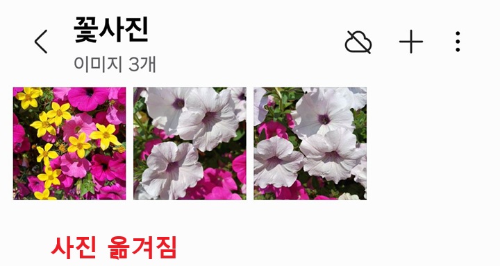 새앨범에 사진 보임