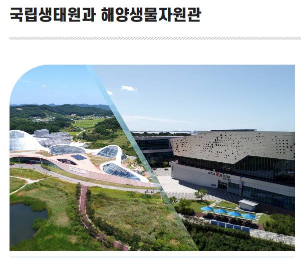 서천 홍원항 자연산 전어꽃게 축제