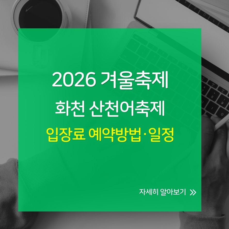 화천 산천어축제 얼음낚시 체험 전경