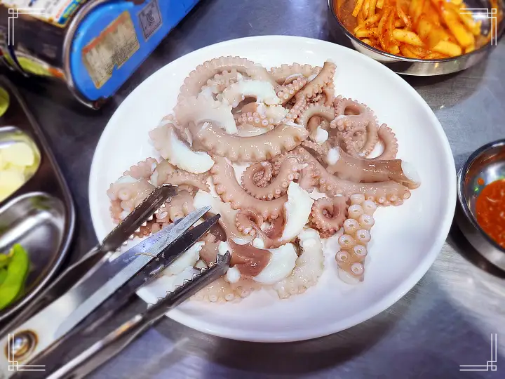 진심 가득 건강 담은 맛 광진구 군자역 맛집 추천 생방송투데이 낙지 한 상 오늘방송 리얼맛집