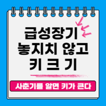 급성장기 놓치지 않고 키크기