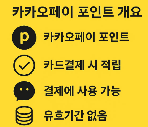 카카오페이 포인트 개요