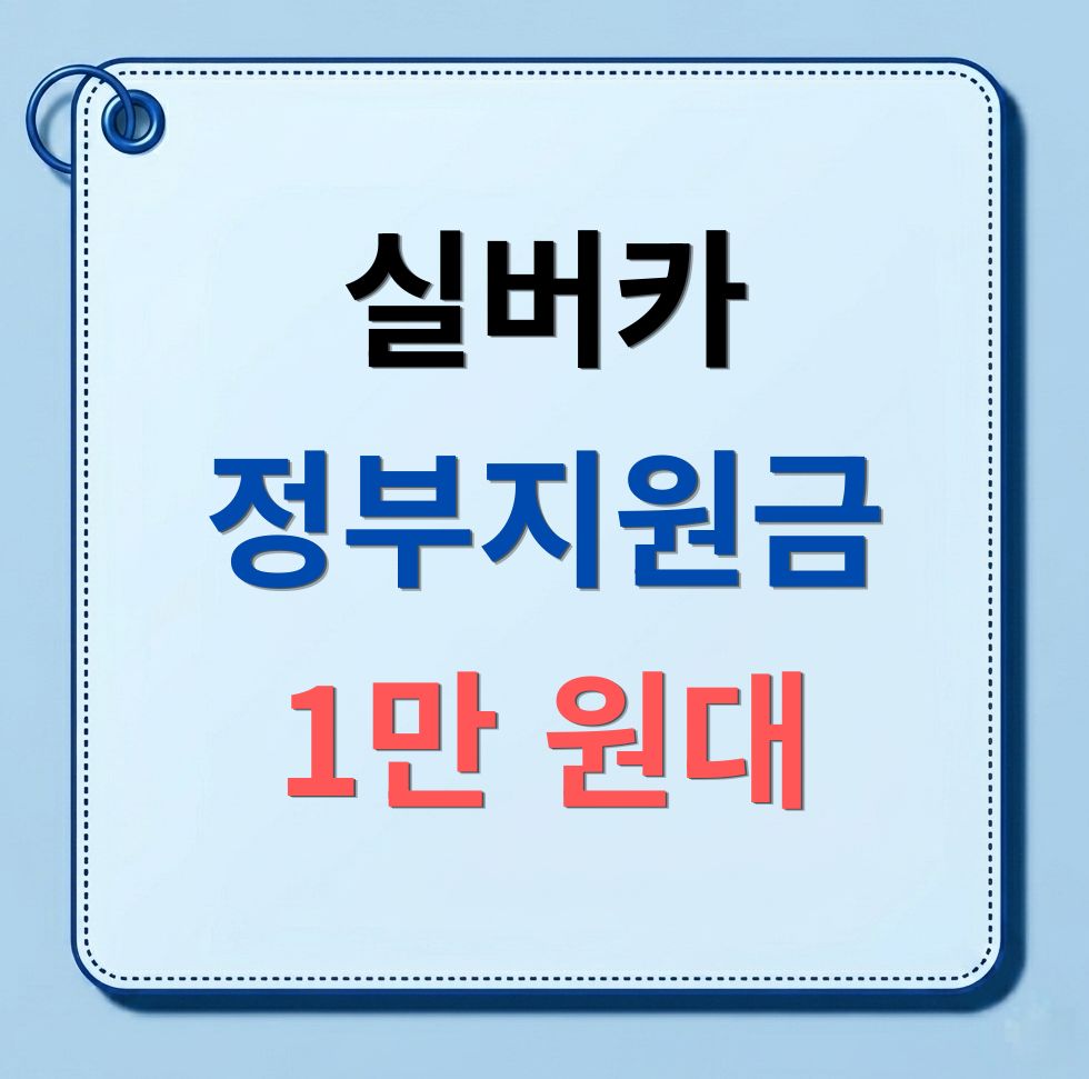 실버카노인휠체어정부지원금