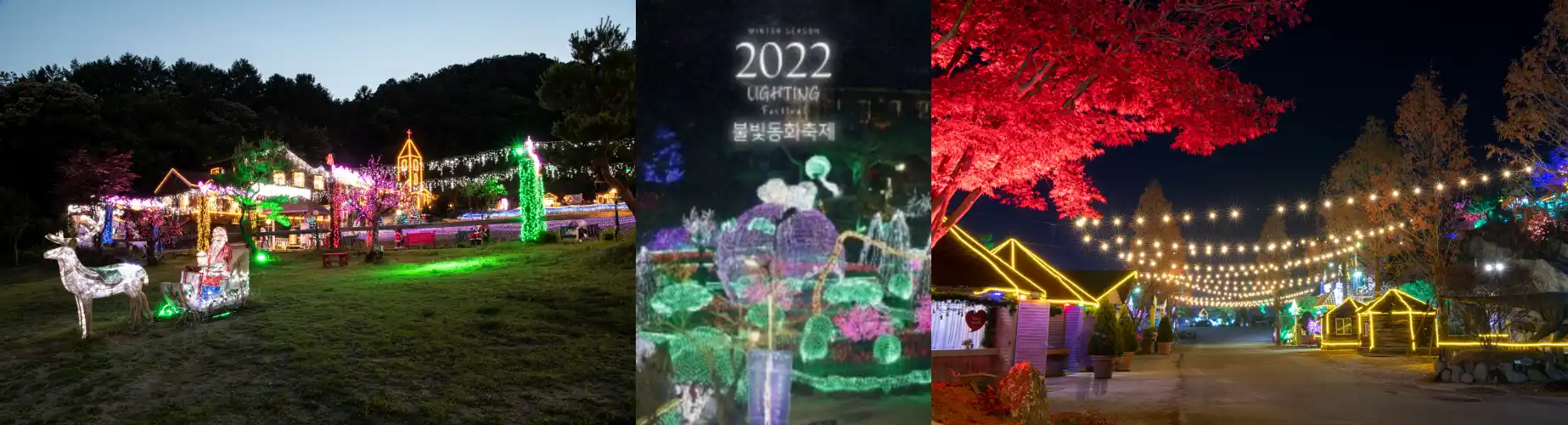 허브아일랜드 빛 축제 사진