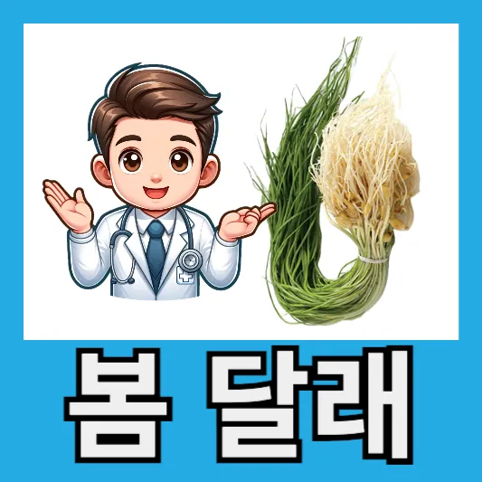 "봄 제철 음식 달래"