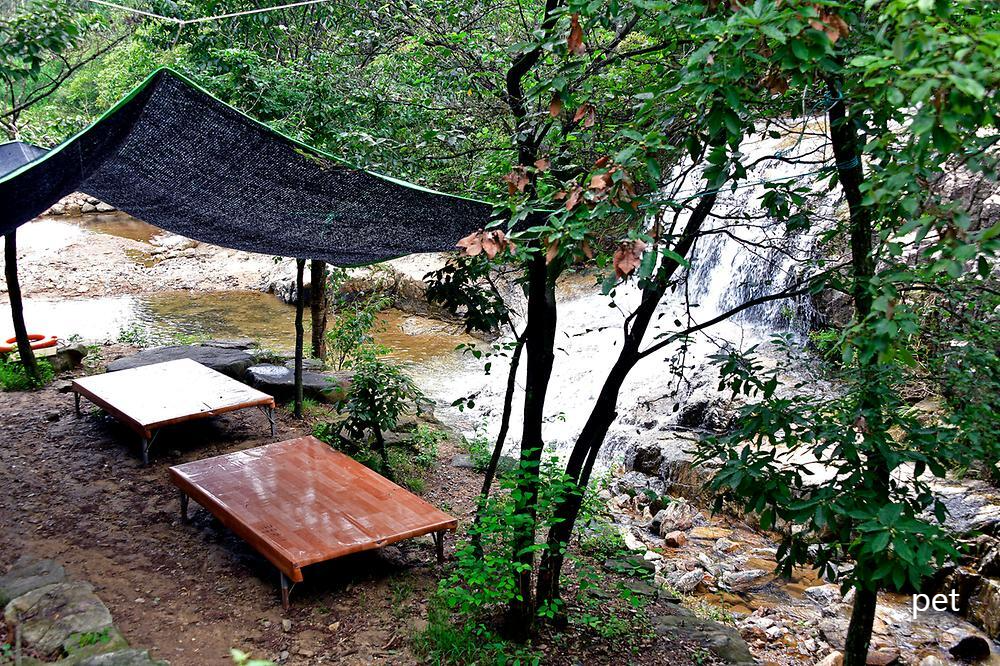 곡성-꿈꾸는캠핑장