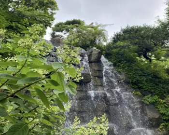 화담숲 예약_3