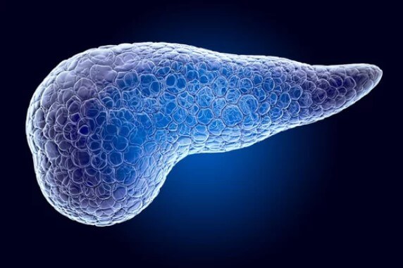 췌장의 역할 췌장암 검사 췌장암 검사종류 췌장암 검사방법