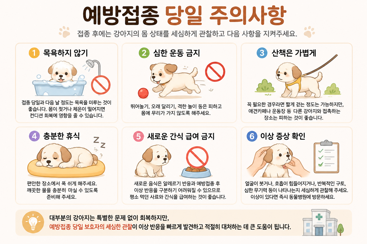 강아지 예방접종 전 주의사항 체크 이미지