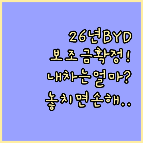 2026년 BYD 실 전기차 보조금 ..