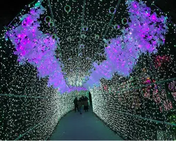 아침고요수목원_6